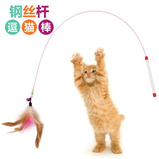 ĐỒ CHƠI CẦN CÂU MÈO DÂY THÉP