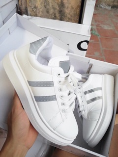 Giày thể thao 2 vạch