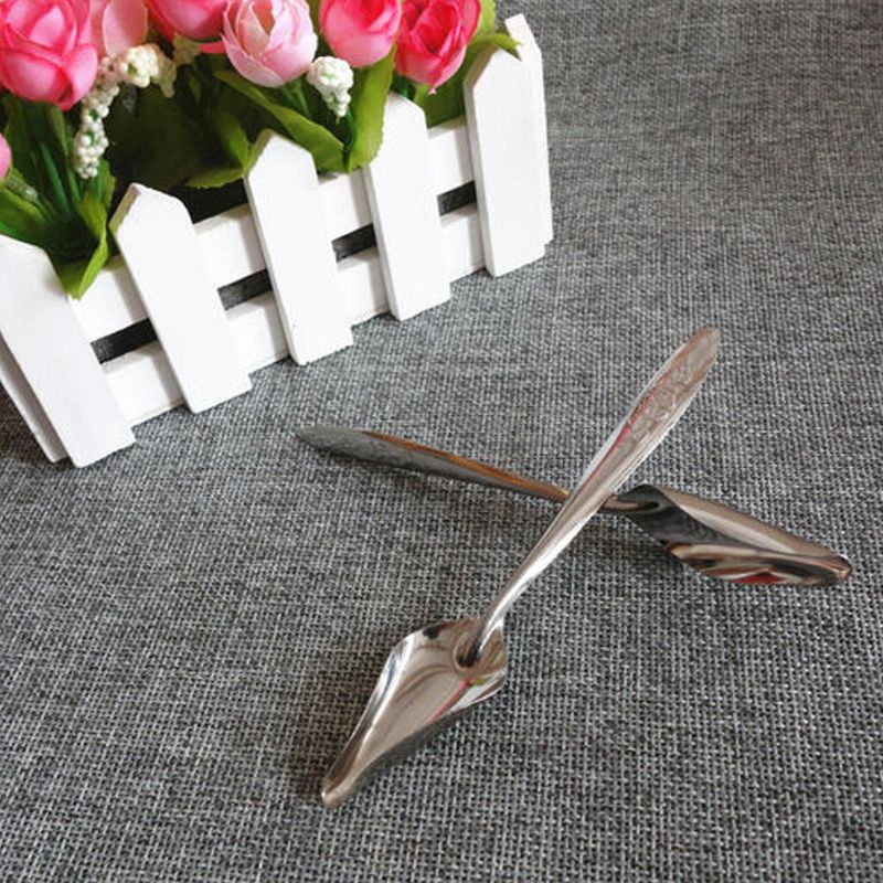 Bộ 5 Muỗng Ăn Bằng Thép Không Gỉ Tiện Dụng Cho Vẹt