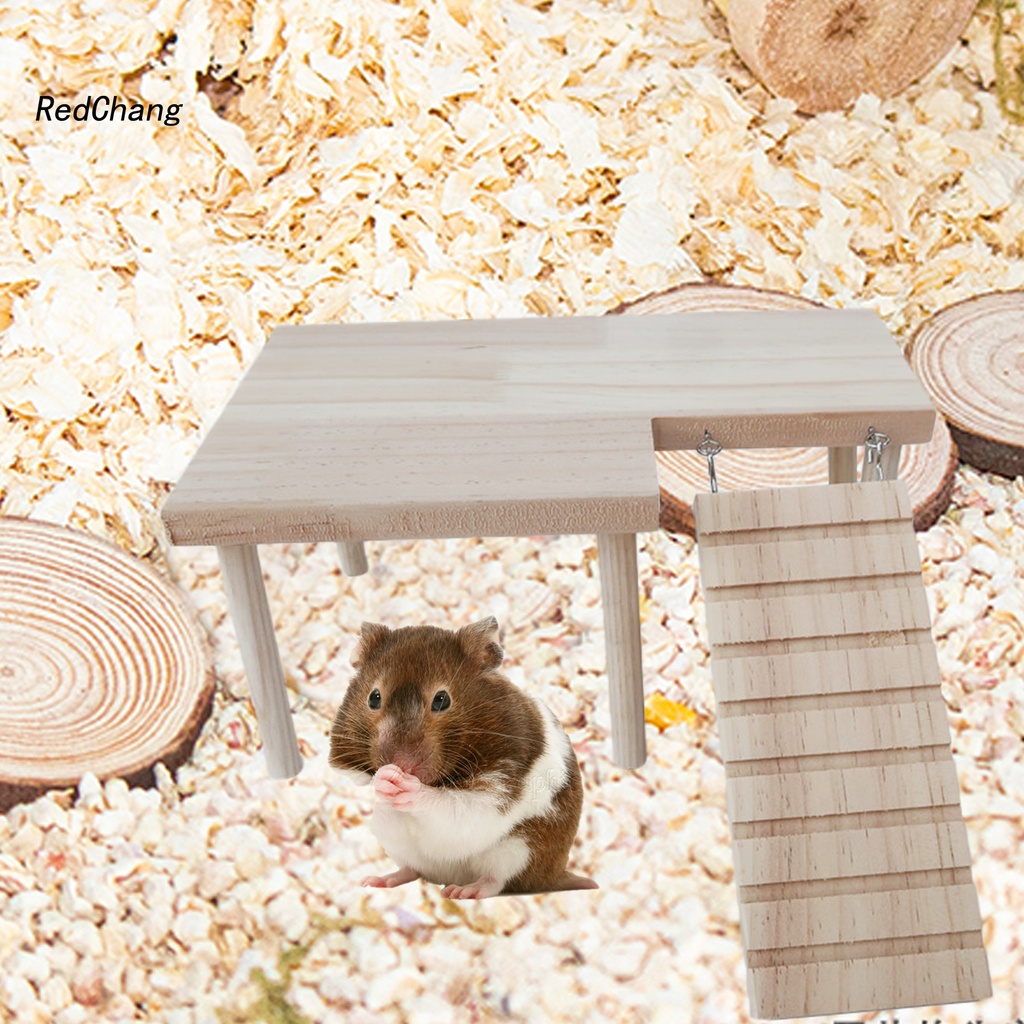 Đồ chơi leo trèo vui nhộn cho chuột hamster