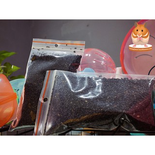 Mè Đen cho Hamster (100gr)