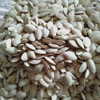 1KG HẠT BÍ RANG MUỐI