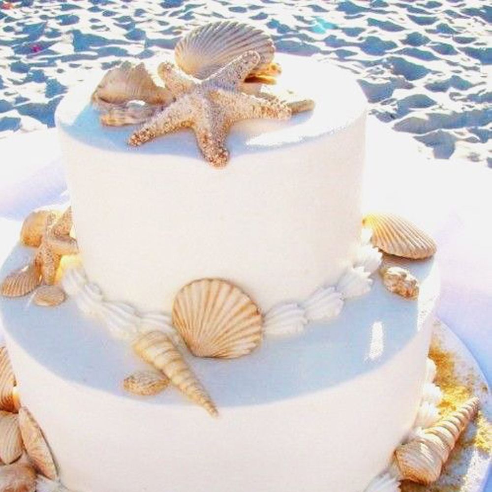 Khuôn Silicone Làm Bánh Tạo Hình Vỏ Sò Độc Đáo Tiện Dụng