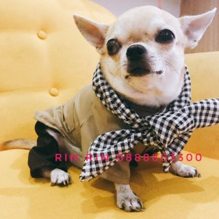 Áo nông dân cho chó mèo