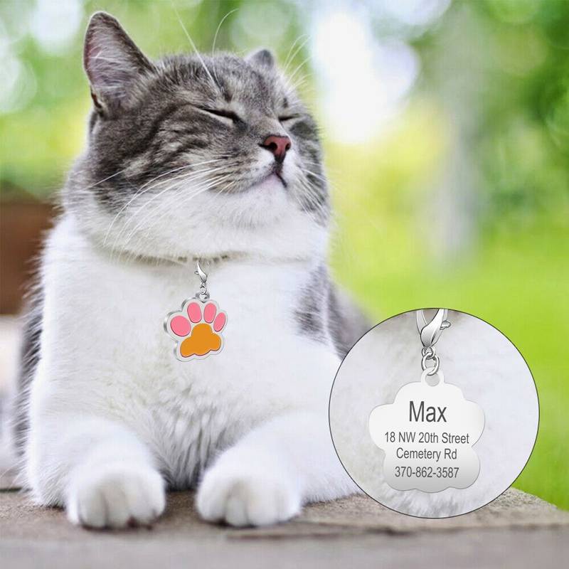 Móc khóa mặt bàn chân mèo khắc tên chống thất lạc cho thú cưng