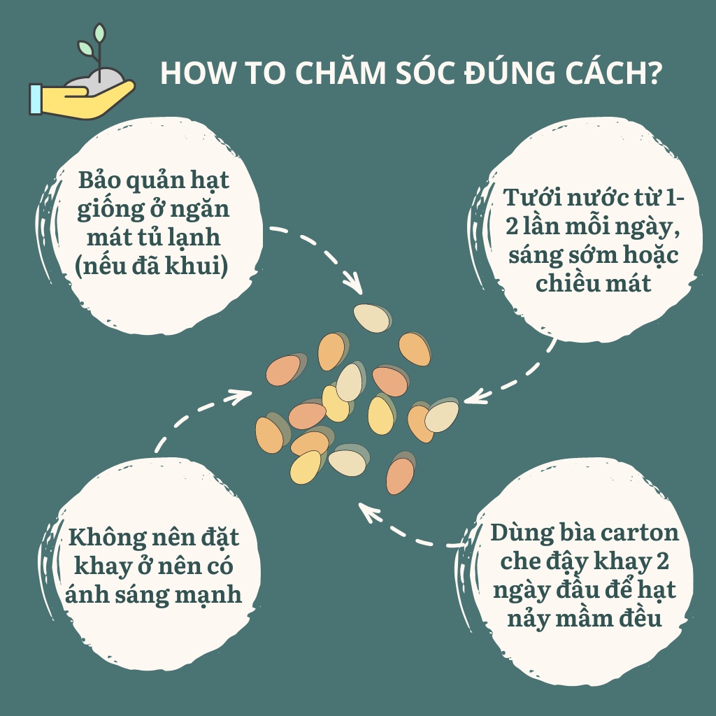 Phân trùn quế SFARM - 2kg -  phân bón hữu cơ trồng cây, trồng rau, cây cảnh nội thất, cây hoa kiểng, phong lan