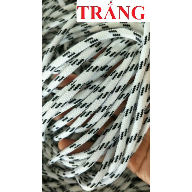 Dây giày BALENCIAGA, Ulzzang, Dream- 2