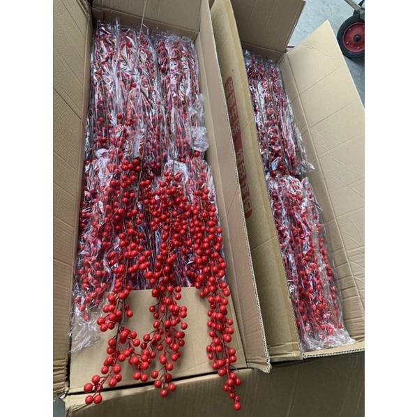 Đào đông 12 nhánh