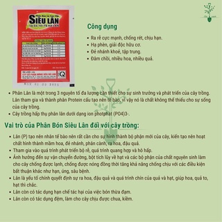 Phân Bón Lá Siêu Lân Đỏ Hà Lan