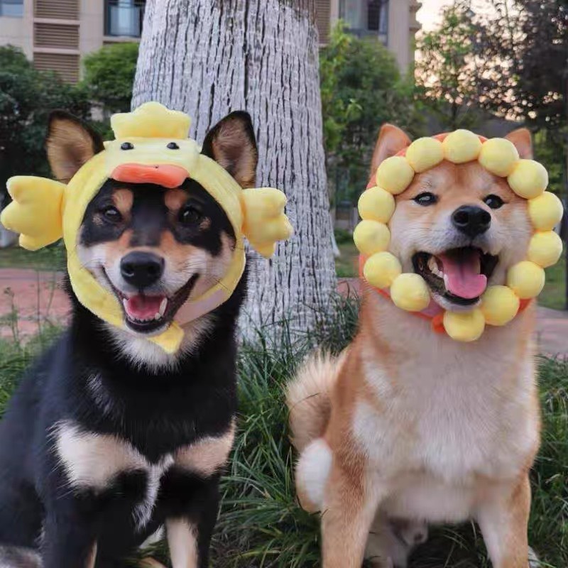 Mũ cho chó mèo dễ thương đủ kích thước từ 1kg tới 15kg