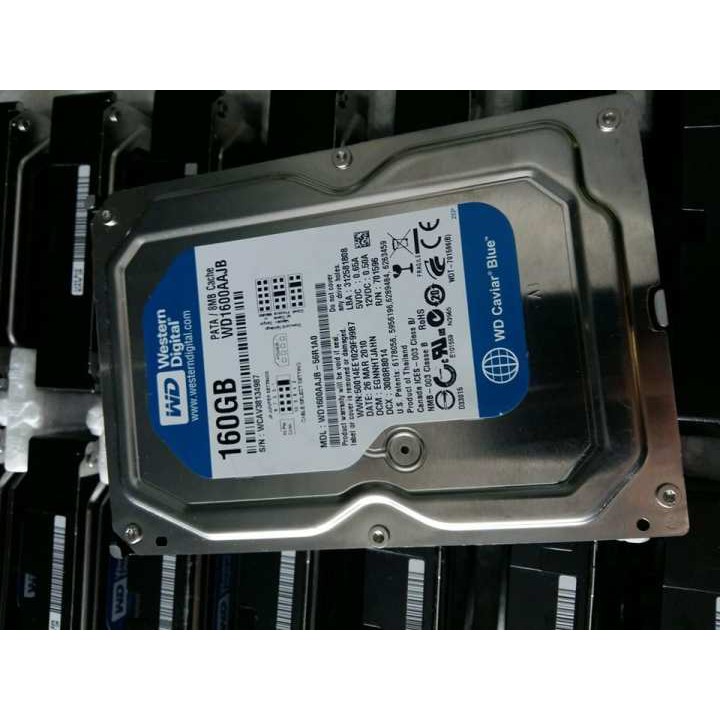 Ổ cứng HDD 160Gb sata Western. | BigBuy360 - bigbuy360.vn