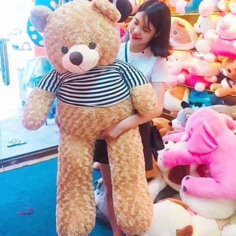 Gấu bông Teddy Cao Cấp khổ vải 1,4m Cao 1,2m Màu Vàng Đồng