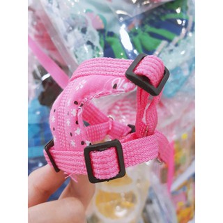 Bộ yếm đeo + dây dắt cho Sóc Bông, Sóc Bay Úc, Sóc Bắc Mỹ, Sóc Đất ( giao màu ngẫu nhiên )