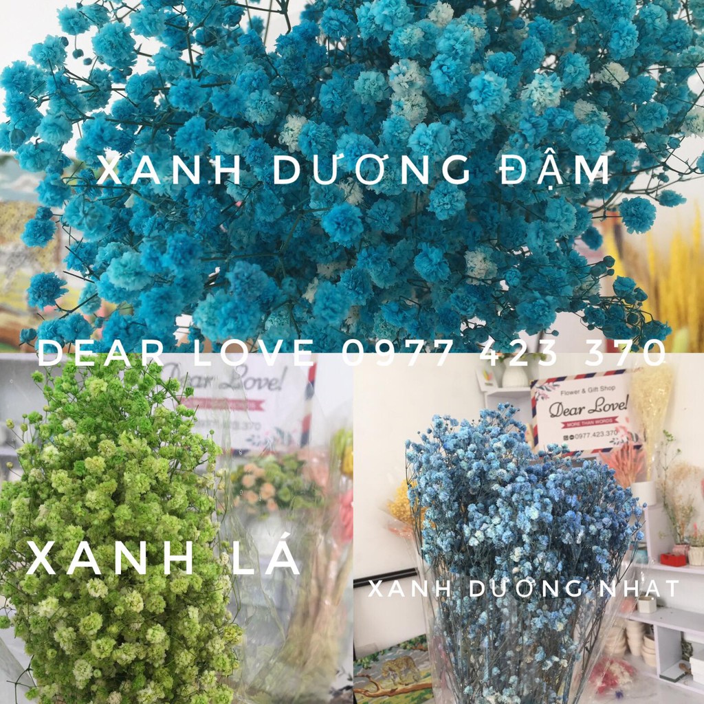 1 BÓ BABY KHÔ DÙNG TRANG TRÍ