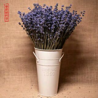 Hoa oải hương khô