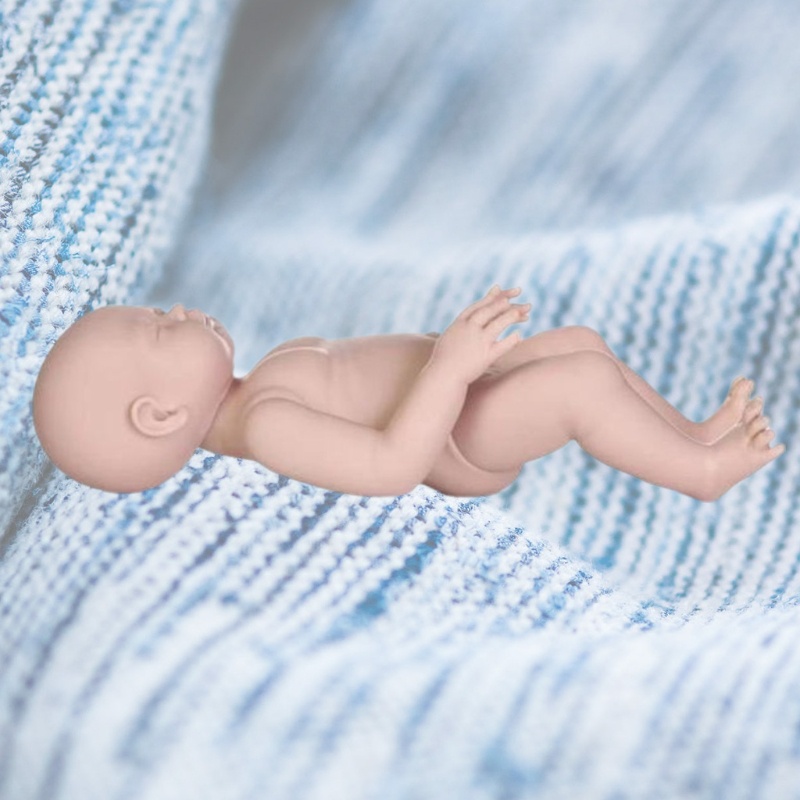 Búp Bê Sơ Sinh 11inch Dùng Trang Trí Độc Đáo DIY