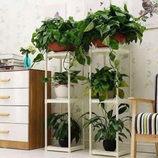 Kệ để trang trí cây cảnh 8 tầng
