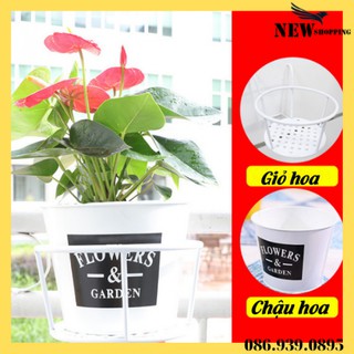 Combo chậu hoa , giỏ hoa sắt treo ban công trang trí nhà cửa