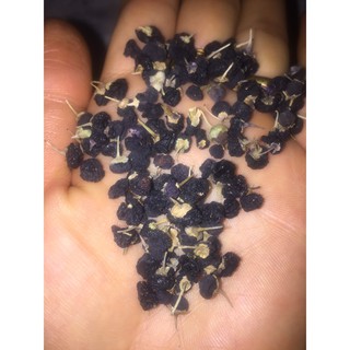 Hắc kì tử 500g
