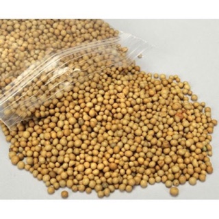 PHÂN VÀNG TAN CHẬM (100G)