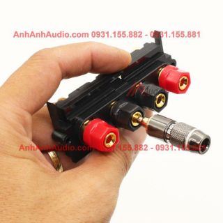 Jack loa , dạng trạm 4 đầu