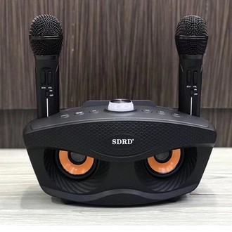 Loa Karaoke Bluetooth SD-306 Tặng Kèm 2 Micro Không Dây, loa karaoke mini du lịch và dành hát cho gia đình