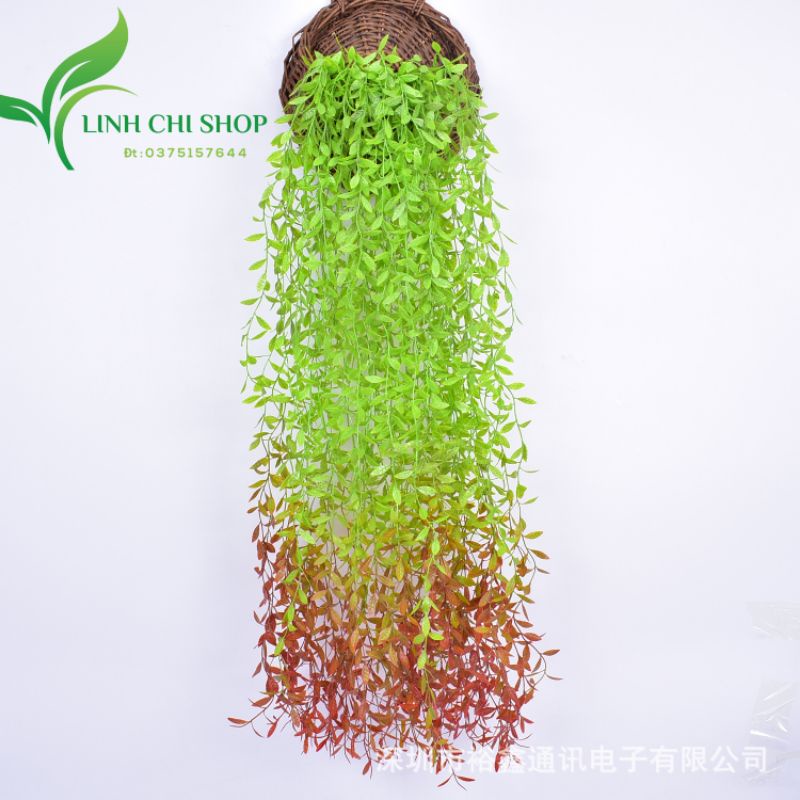 Hoa giả trang trí_Rủ lá cúc tần 102cm decor nhà cửa, ban công, sự kiện