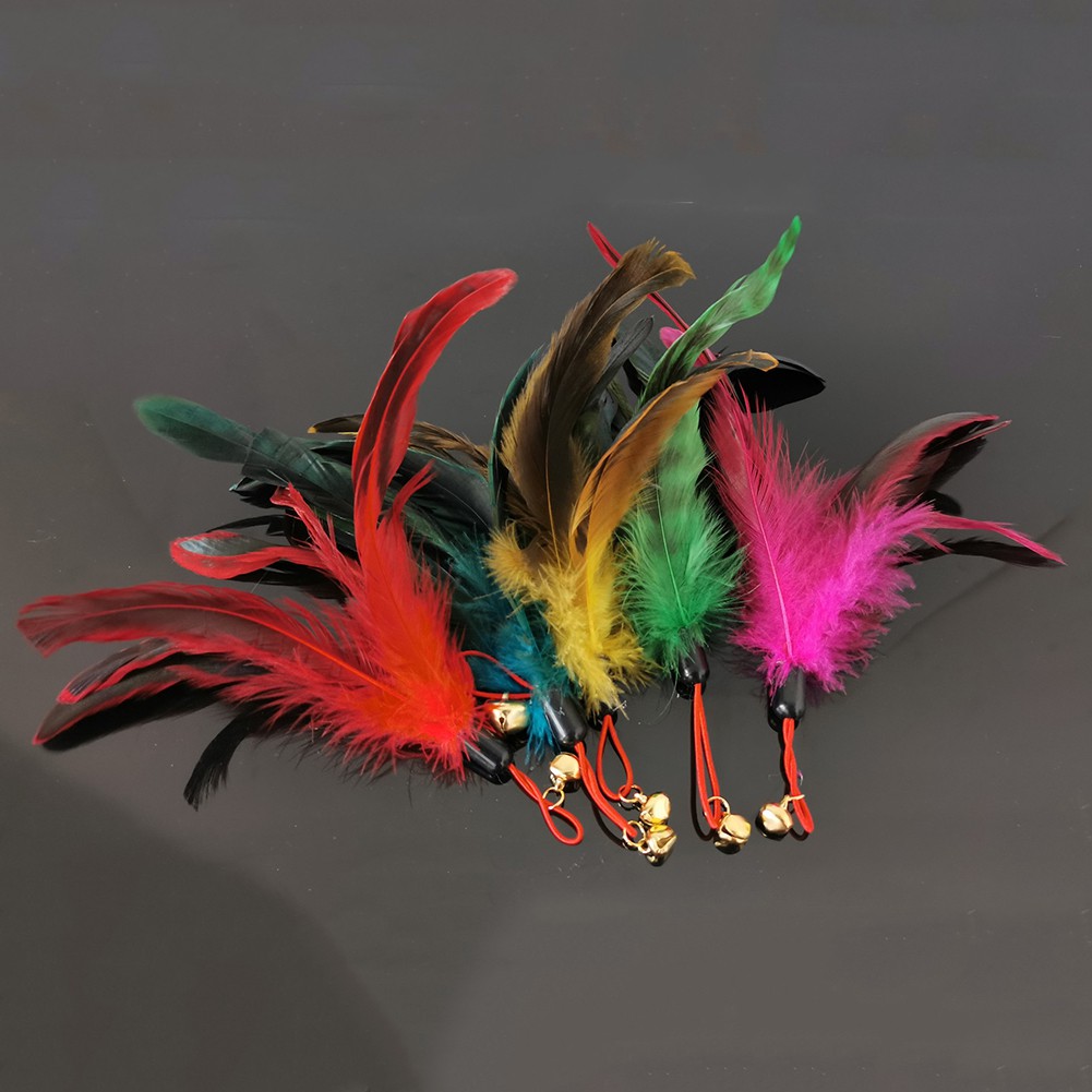 Đầu lông vũ thay thế cho đồ chơi trêu mèo