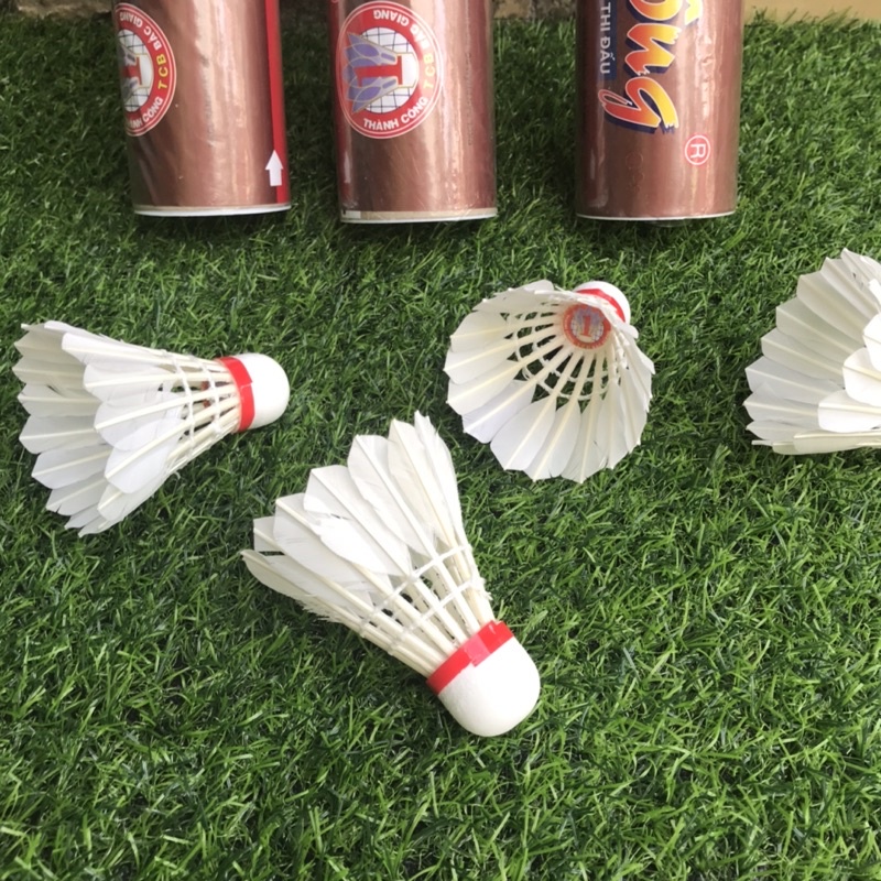 Hộp 10 Cầu Lông Thành Công tiêu chuẩn thi đấu
