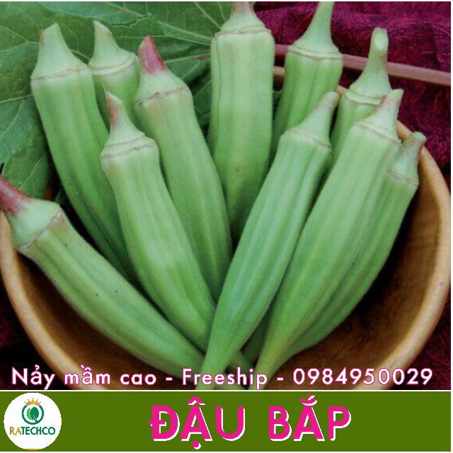 Hạt Giống Đậu Bắp Lai - 50 hạt