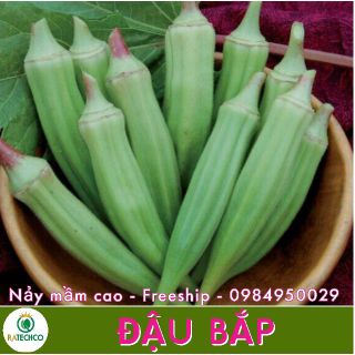 Hạt Giống Đậu Bắp Lai - 50 hạt