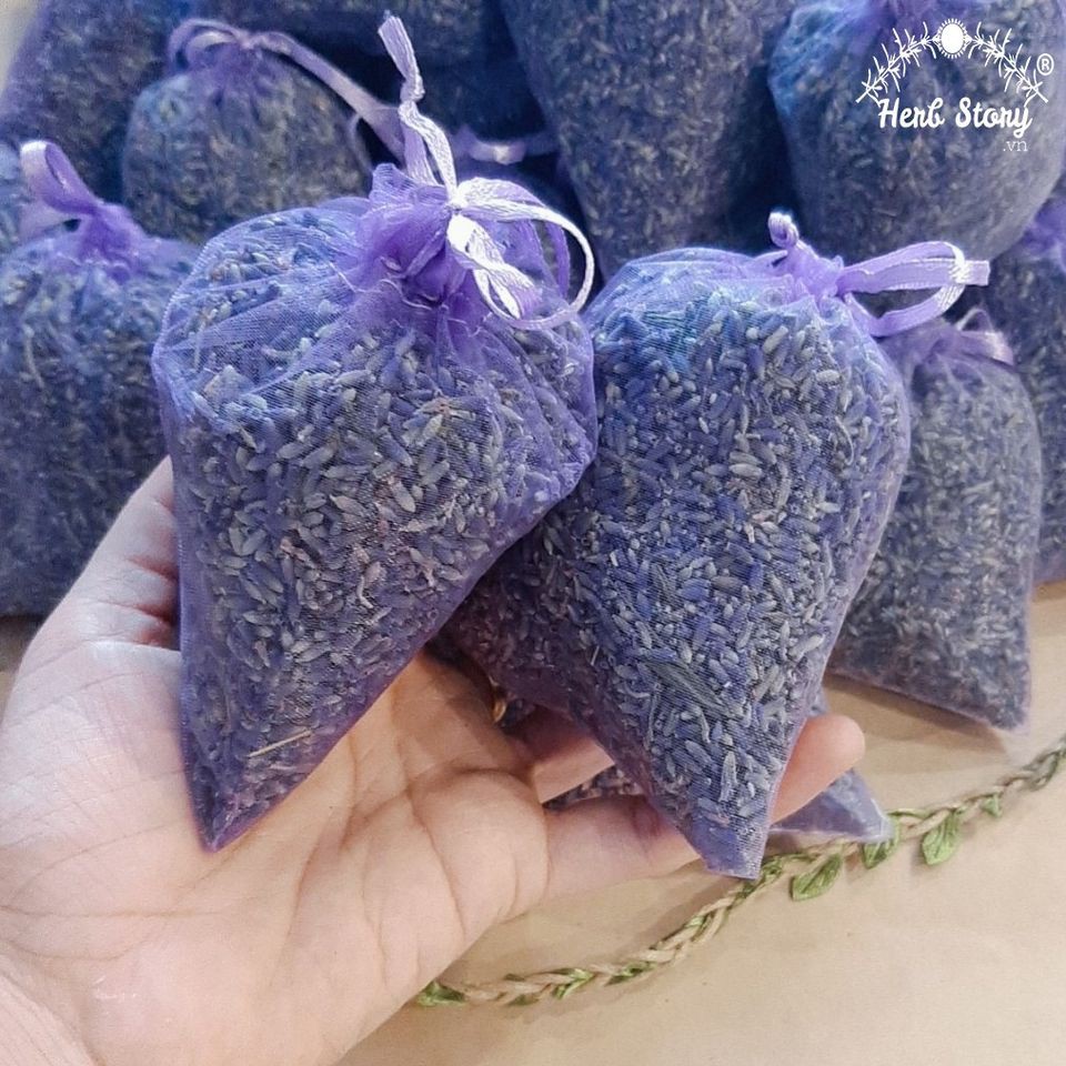 Nụ hoa Lavender khô ( Hoa Oải Hương )