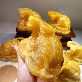 trâu vàng ngọc hoàng long [ hàng đẹp ]