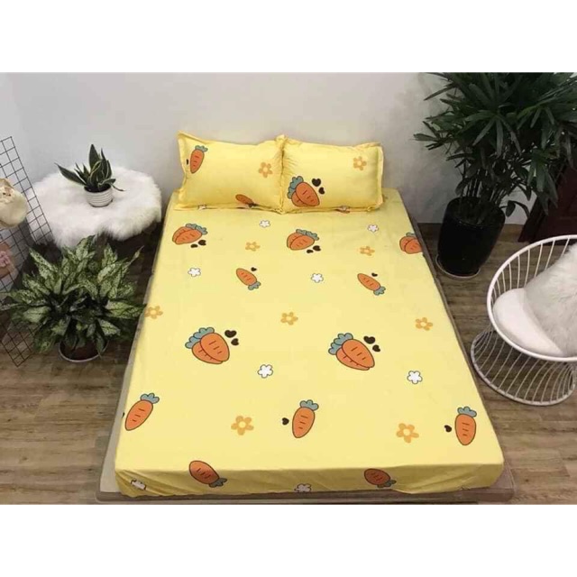 Ga chống thấm Cotton km