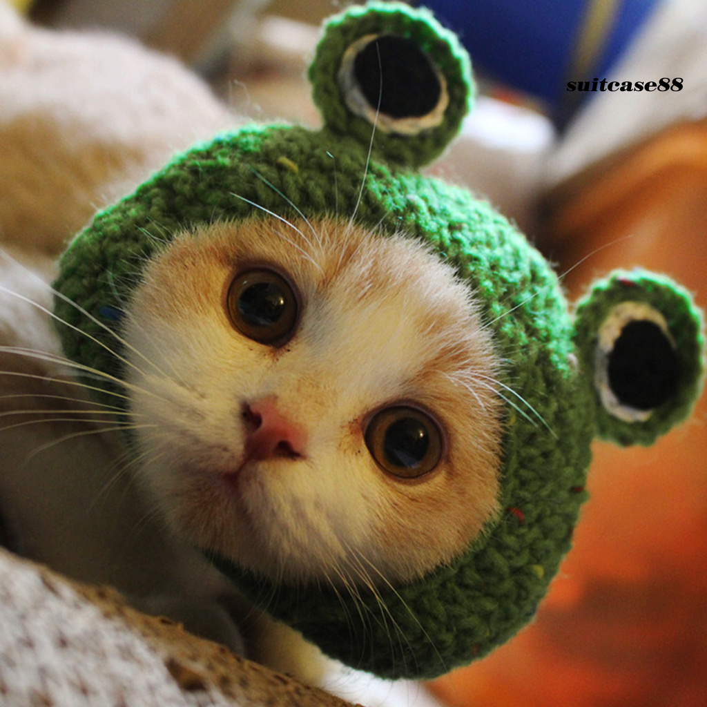 Mũ hóa trang hình con vật dễ thương dành cho mèo
