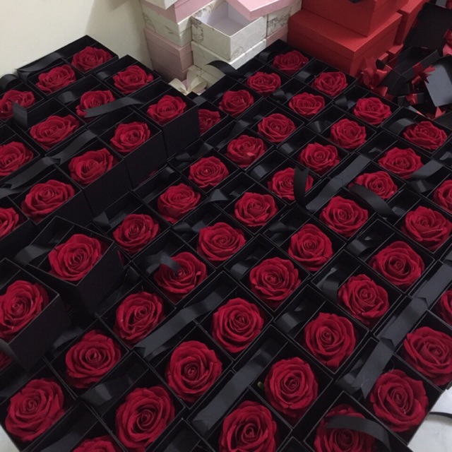 Combo 2 hộp đựng son hoa lụa