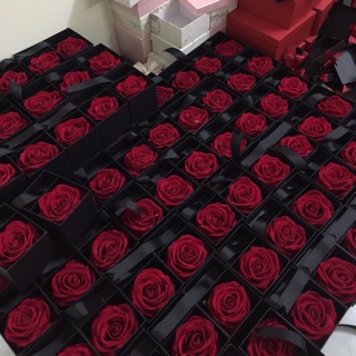 Combo 2 hộp đựng son hoa lụa