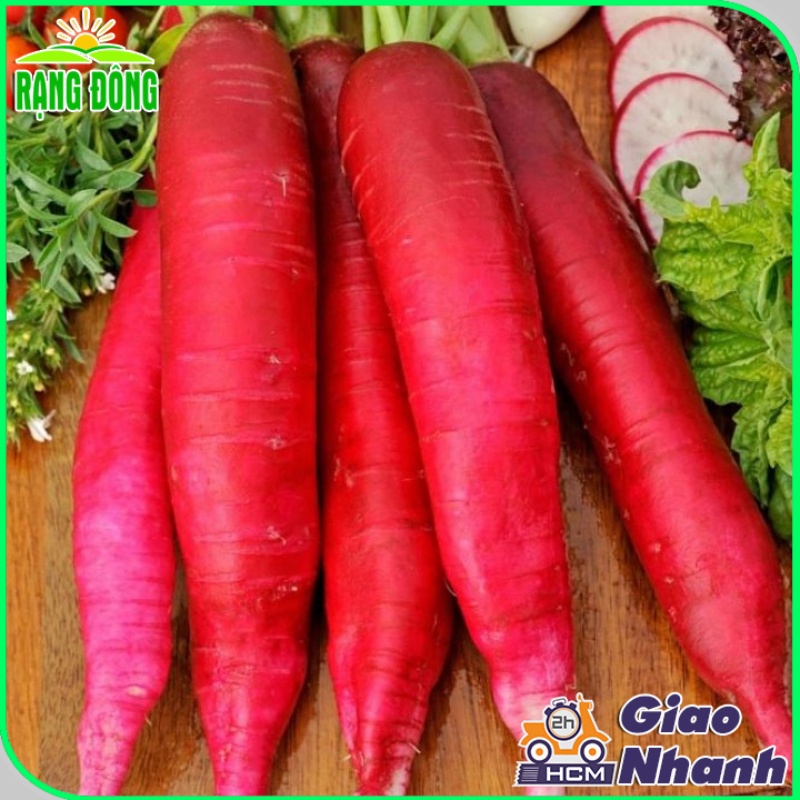 Hạt giống Củ Cải Đỏ - giống củ dài, giòn, ngọt (gói 2 gr) - Hạt giống Rạng Đông