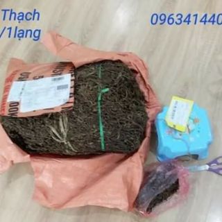 Lá Thạch