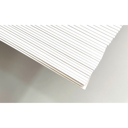 Giấy Canson vẽ màu nước và vẽ hình họa A0