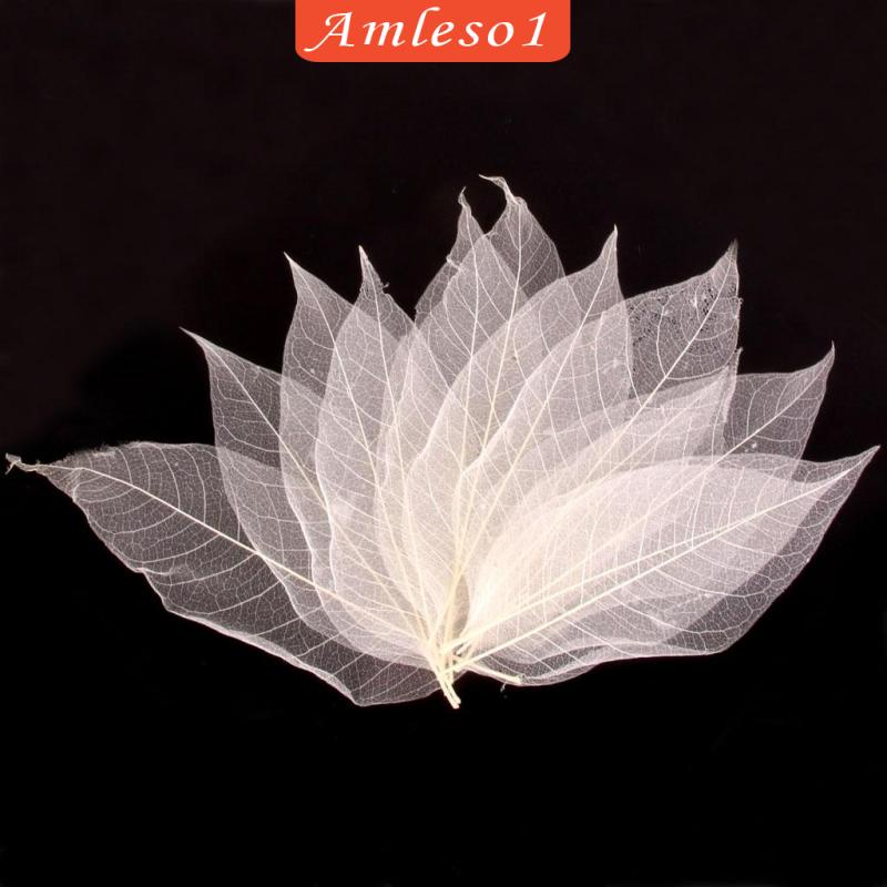 Set 50 Lá Mộc Lan Tự Nhiên Màu Trắng Amleso1 Dùng Trang Trí Sổ Tay