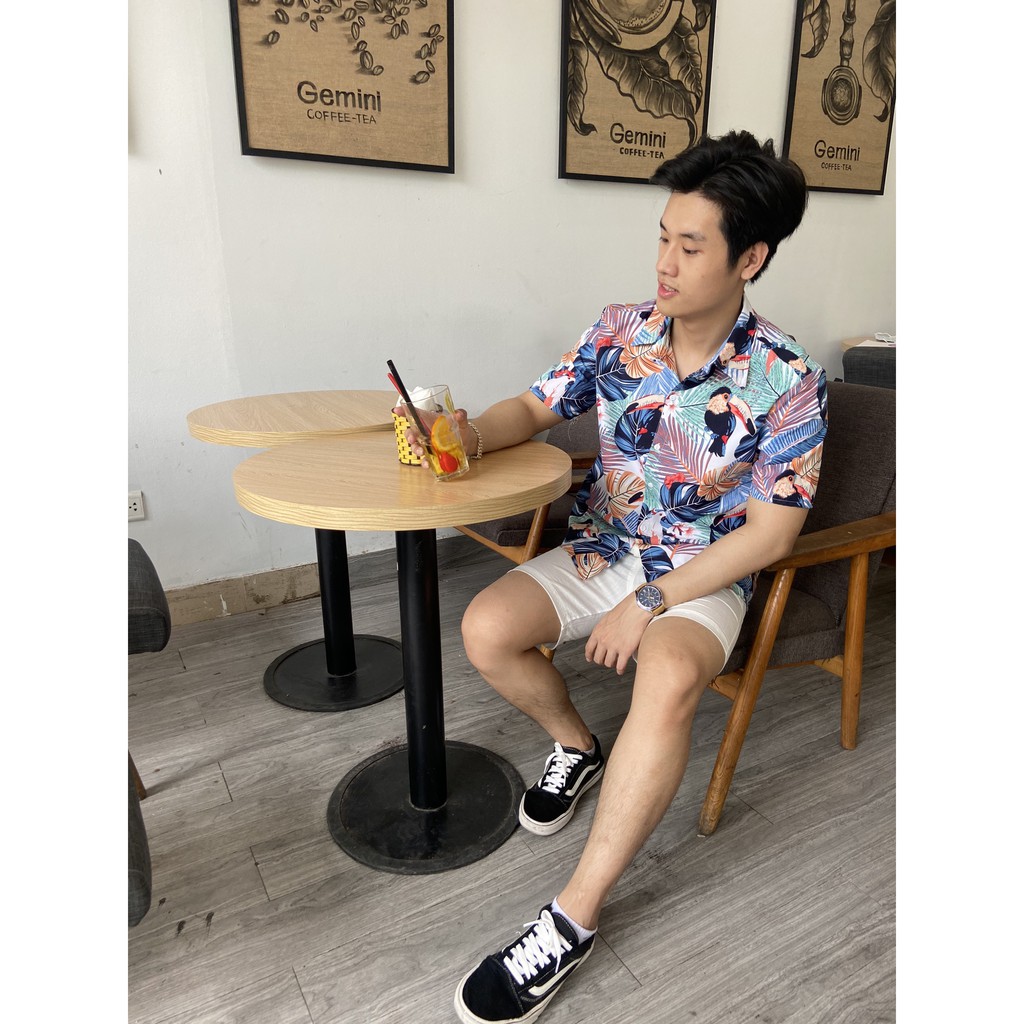 set áo sơ mi họa tiết trái cây đi biển gia đình, nhóm công ty du lịch hè mới nhất giá rẻ | BigBuy360 - bigbuy360.vn