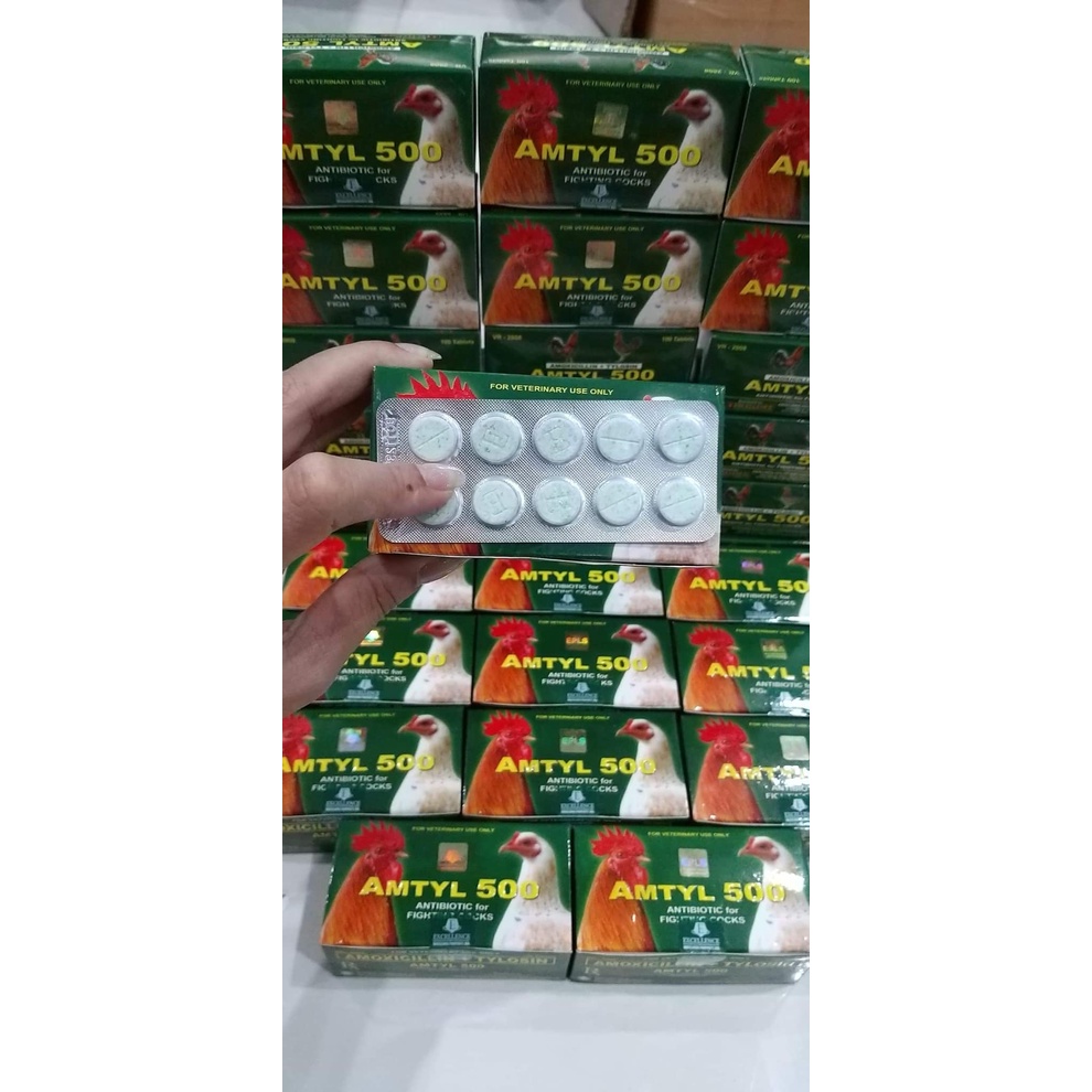 [Giá tốt] AMTYL 500 vỉ 10 viên  chuyên tang gà đá, khò khè, phân xanh phân trắng Bổ sung vitamin và dinh dưỡng