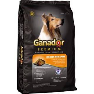 Combo 10 gói thức ăn cho chó lớn ganador adult 400gr