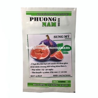 5H - HẠT GIỐNG SUNG MỸ