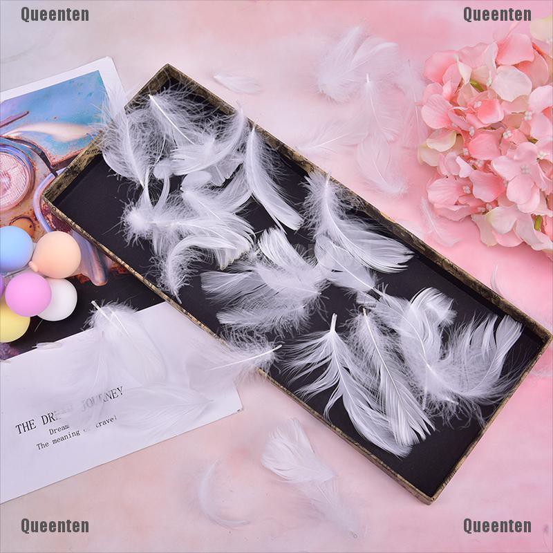 Bộ 100 Lông Vũ Nhiều Màu Sắc Dùng Làm Quà Tặng