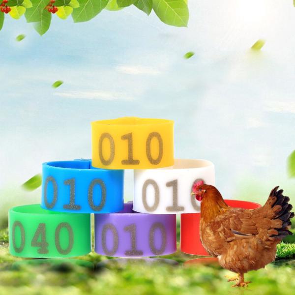 Set 100 Vòng Nhẫn Đeo Chân Cho Gà