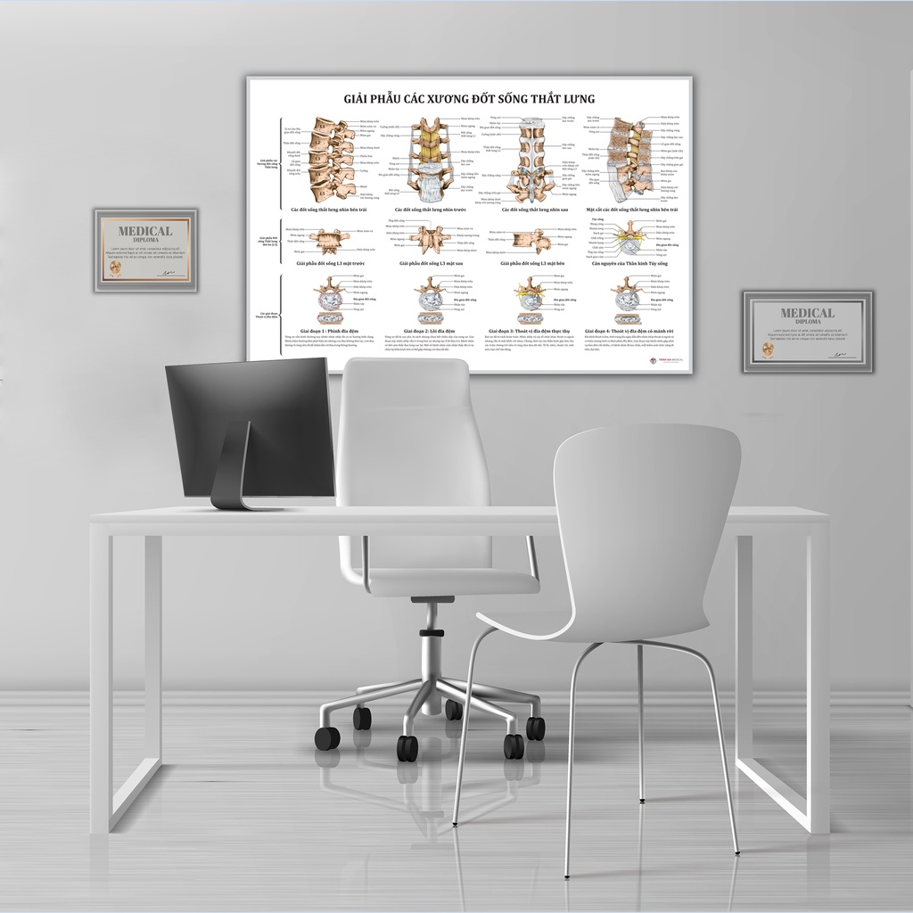Tranh giải phẫu Xương đốt sống thắt lưng - 50x75cm - Decal dán