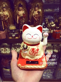 Mèo thần tài size nhỏ