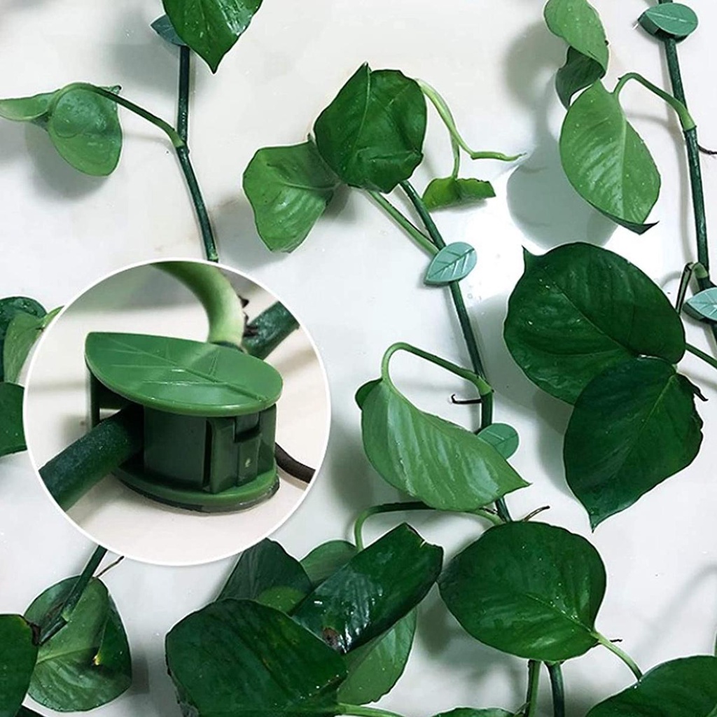 Set 50 / 100 Kẹp Cố Định Dây Leo Trèo Cố Định Cây Trồng Trong Nhà